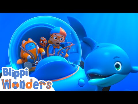 Blippi speaks Dolphin ! | Blippi Wonders Educational Videos for Kids