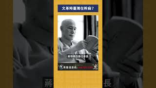 文革時臺灣在幹麻？｜我的學習筆記 #shorts  #歷史 #台灣 #我的學習筆記