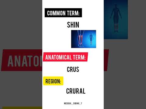 common term | anatomical term | region | medical coding in tamil | #humananatomy #coding #shorts