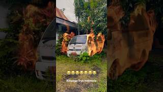 Nasib tidak ada yang menginginkan seperti ini 😭 Berbagai Mobil Rusak Tidak Terpakai Lagi #shorts
