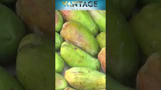 Mangoes to Reset India Bangladesh Ties | Vantage with Palki Sharma | N18G