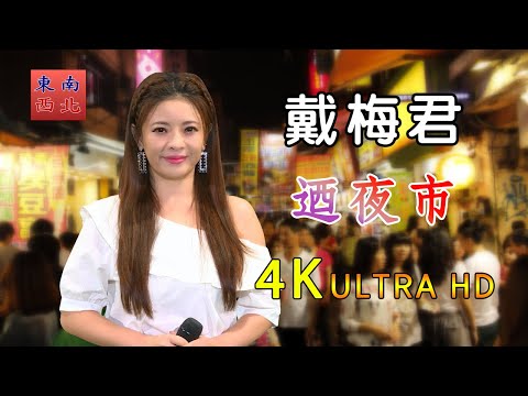 4K台語歌曲 戴梅君 演唱 迺夜市