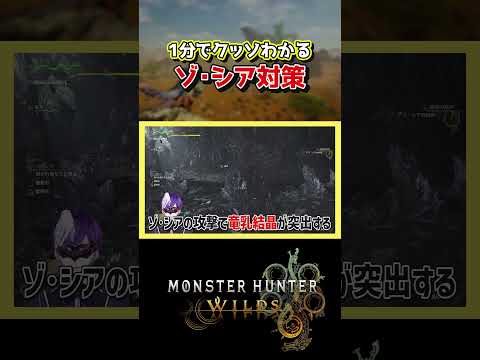 【モンハンワイルズ】ゾシア対策が1分でわかる！【モンスターハンターワイルズ / #モンハンワイルズ / #モンスターハンターワイルズ 】