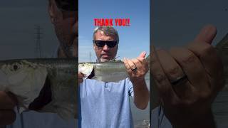 Fish On #shorts #trending #viral #kentucky #fishing #catfish #skipjack