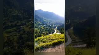 ❤️‍🩹#Allah#peace #ytshorts  #1kcreator #shorts#subscribe#muftimenk #1mviewers