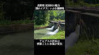 【CROSSING®︎ Caravan】長野県宮田村の魅力！いぶき養鱒場