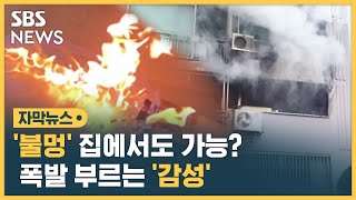 '불멍' 집에서도 가능? 폭발 부르는 '감성' (자막뉴스) / SBS