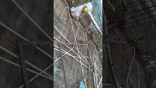 Mep work light Conducting and fire Conducting on the slab with DB down