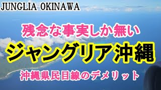 ジャングリアが沖縄にもたらした生活不安の数々：交通渋滞・自然破壊・家賃高騰・飲食費高騰・従業員の窃盗