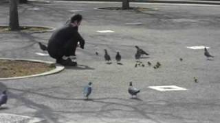 kkajapan's Video Blog/#57-Hibiya Koen (日比谷公園)