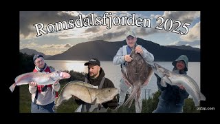 Fiske i Romsdalsfjorden sommeren 2025