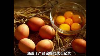 建立二维码溯源体系