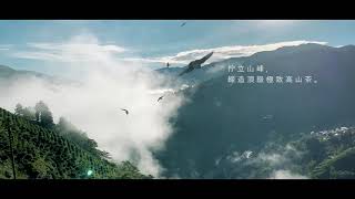 茶之魔手雲深製茶＿形象影片 (梨山)