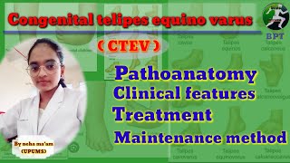 Congenital telipes equino varus (CTEV)|| pathoanatomy|| clinical features|| treatment || maintenance
