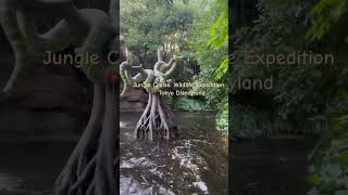 Wanna see what entails Tokyo Disneyland’s Jungle Cruise Wildlife Expeditions?#wildlife#junglecruise