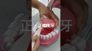 321大家來刷牙