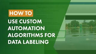 How to Use Custom Automation Algorithms for Data Labeling