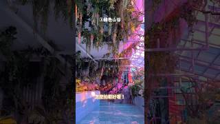 濟州島新景點✨媲美teamlab的水媒體主題樂園