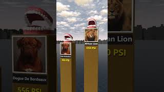 Comparison of animals with the strongest bite force