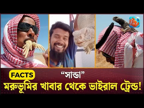 সান্ডা vs গুইসাপ | ইসলাম কী বলে? সান্ডা খাওয়া ও তেলের সত্যতা | PraniCharge