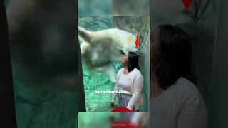 🐻 Grizzly = Angry 🐻‍❄️ Polar Bear = Hungry