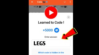 Learned to Code! Cats Code | Learned to Code cats video code today