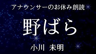 【睡眠導入】アナウンサーの眠れる朗読小川未明「野ばら」元NHKフリーアナウンサー島永吏子