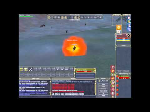 Vanguard & Everquest Combat Duration