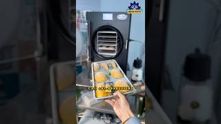 Mango Freeze Dried Fruits | New Model Freeze Dehydrator For Food & Commercial Purpose #frozenfruits