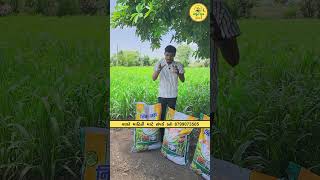 મીક્સ લીંબોળીનો ખોળ | નીમ પાવર ખોળ | એરંડાનો ખોળ | Mix Limboli Khol | Arandano Khol | Trending