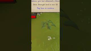 Level 13 Strength #dailylevel #osrs #osrsmobile