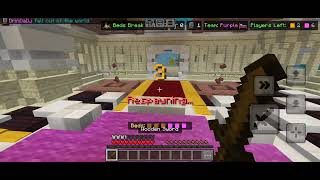 Op  bed wars in lifeboat smp with mobile