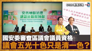 國安委審查區議會議員資格，議會五光十色只是清一色？｜D100新聞天地｜李錦洪、梁家權