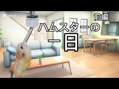 ハムスターの一日前編
