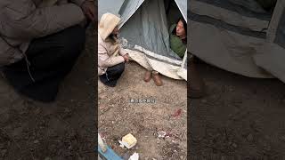 户外青海露营旅行记录真实生活