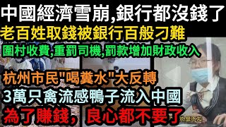 中國經濟雪崩，銀行都沒錢了：老百姓取錢被銀行百般刁難；圍村收費、重罰司機，專罰老百姓；杭州市民"喝糞水”大反轉；3萬只禽流感鴨子流入中國餐桌；為了賺錢，良心都不要了#中國 #中国