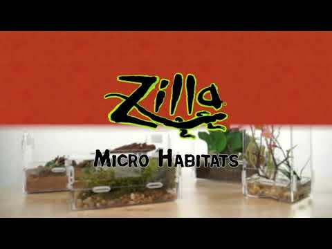 Zilla micro habitat enclosure for small tree-dwelling reptiles, amphibians, spiders. |-IoT Hub BD