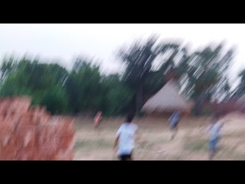 Live Village cricket