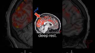 Your Brain Washes itself when you SLEEP! #neuroscience