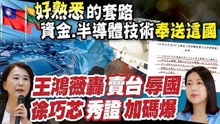 【每日必看】轟政府賣台! 王鴻薇:資金.半導體技術送立陶宛｜台宛"友好"真相? 徐巧芯:險簽農業不平等條約 20230704 @中天新聞CtiNews