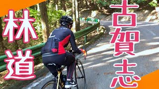 【古賀志林道ヒルクライム】プロ選手とロードバイク初心者女子のスピードを比較