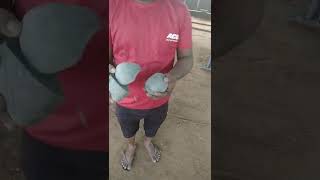 ACC vs UltraTech