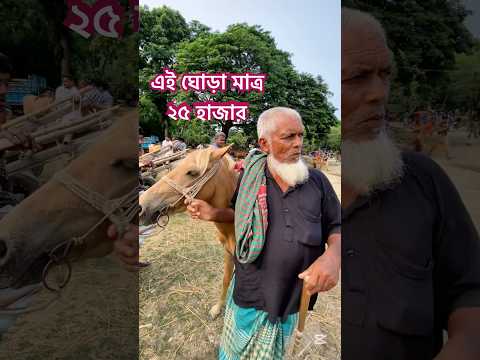গাড়ি ঘোড়ার দাম যানোন তুলশিপুর বাজার ঘোড়ার হাট থেকে।। #ঘোডারহাট #horse #ইন্ডিয়া#তুলসীপুর #ঘোড়া
