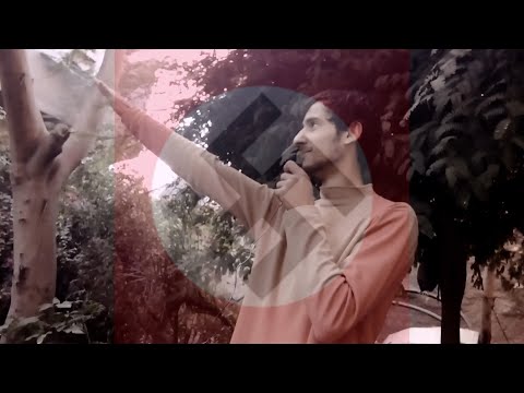normals 3: من أجل تعليم أفضل | قررت أنكش المدرسين