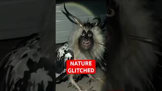 4 Animals That Break the Rules of Nature