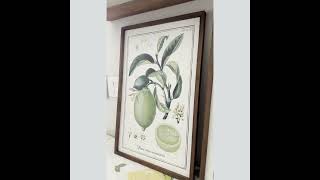 Botanical Citrus Wall Art, Set of Three