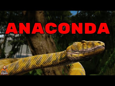 A Giant Solo Anaconda in Beasts Of Bermuda - Trailer