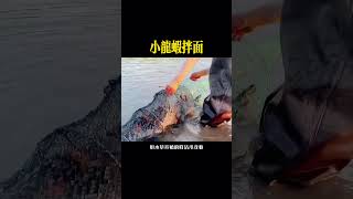 小龙虾拌面 #面条 #小吃 #美食制作分享 #美食