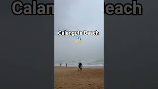 Calangute Beach Goa ⛱️ by Nutan Kamble #trending #shorts #shortvideos #viralvideos #viralshorts