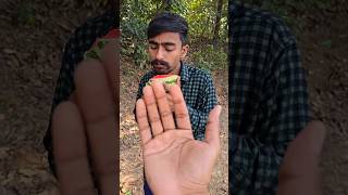 ASMR 🍉🍉AMERICA'S ORIGINALDUBBLE BUBBLE GUM (3 FRUIT FLAVORS) AND#2120